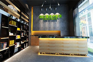 美術(shù)教育培訓(xùn)機構(gòu)裝修設(shè)計全景效果圖